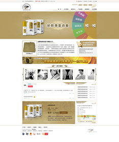 从设计图到产品 软件开发全流程指导